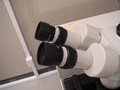 dsc00647.jpg