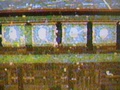 dsc00680.jpg