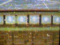 dsc00681.jpg